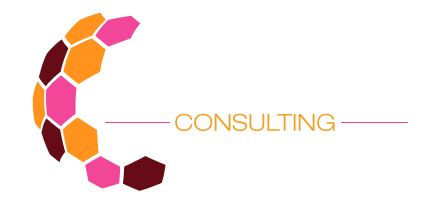Nokulunga Consulting Logo